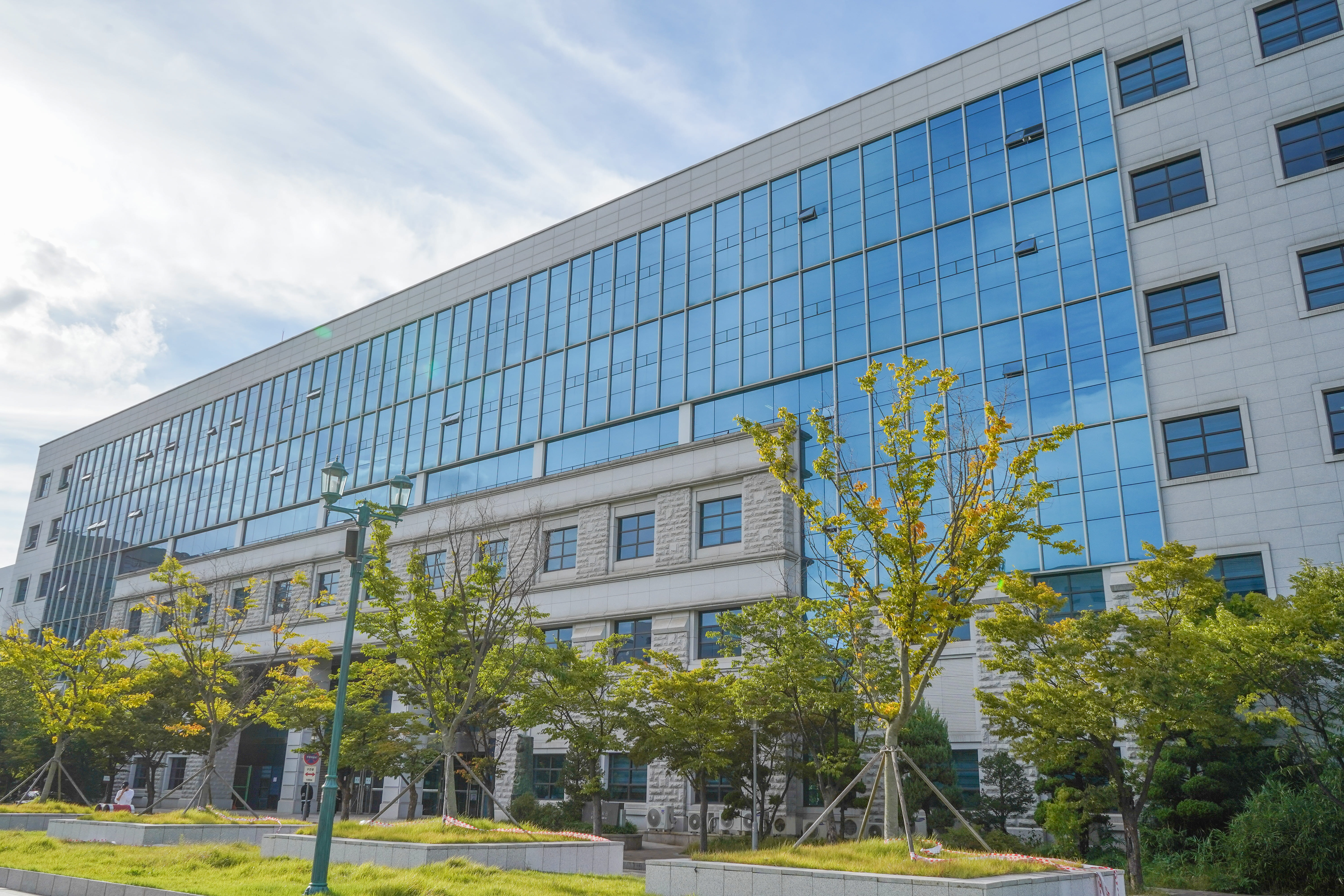 고려대학교 수학과